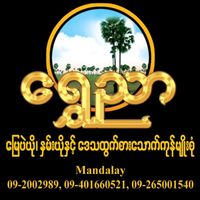 shwenyar78117