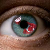 umut6031