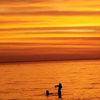 original sound - bunny🪐