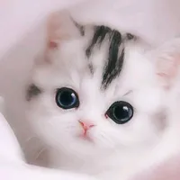 original sound - cantikasayang61