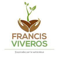 viverofrancis