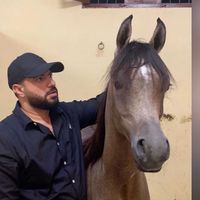 elsharawi80