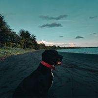 pomcity.confidential