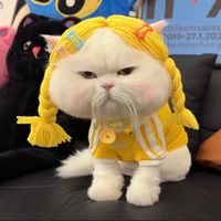 nhạc nền - 邓同学