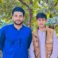 jinsar.king45