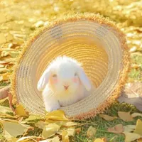 original sound - melsianaveron09