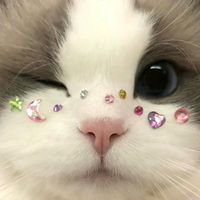 オリジナル楽曲 - ︎︎星華
