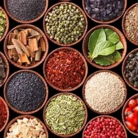 original sound - rustem_1.23