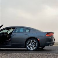 xxt_50