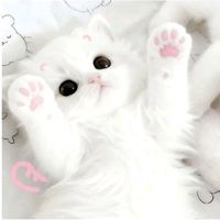 chue.ngone.khat.wai