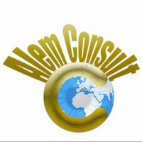 alemconsult