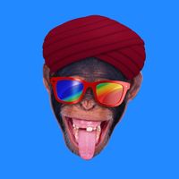 primatotv