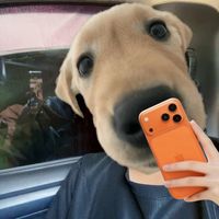 เสียงต้นฉบับ - เทพIpsd