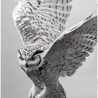 Дропает Приморье by МАЛЮТА