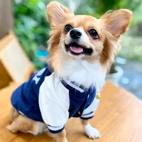 original sound - suma.mee