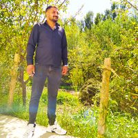 ferdi.krcll