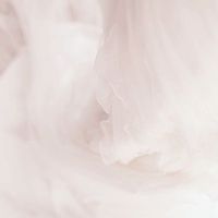 act___0cy