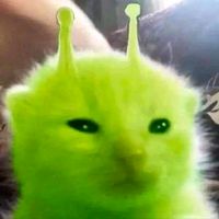 its.jnnpjrs