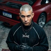 sonido original - DeLouis DL
