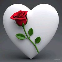 mashallahgoodlifetime