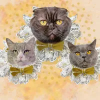 Учат в школе