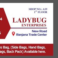 ladybug7135