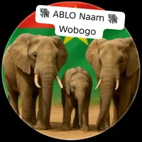 original sound - naam.wobgo8