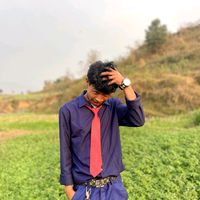aratcdy999