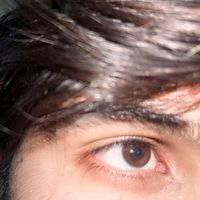 sarkar00869