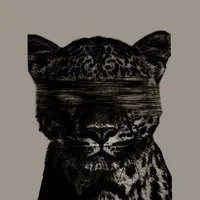 original sound - 2gusein