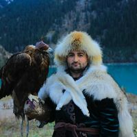 falcon_owl