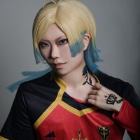 dolphin_cos12