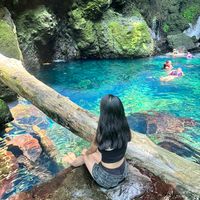 lyy0105217