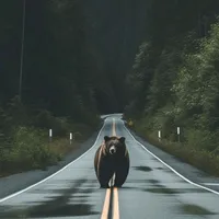 original sound - manifesting_0102