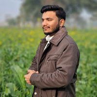 804_zaibi