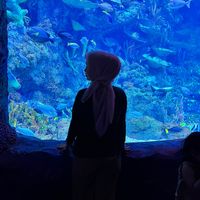 original sound - Isti