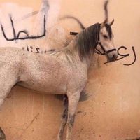 __aslb4