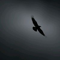 unknown113939