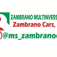 ms_zambranocars