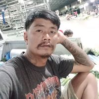 user8185301399557