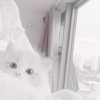 オリジナル楽曲 - ^._.^