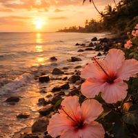 sunsetss000