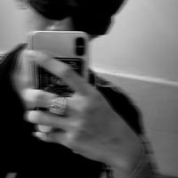 max_noy1