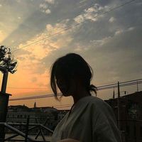 _hau6713