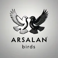 original sound - arsalan.birds