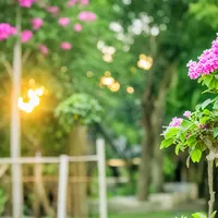 জীবন কাটে জুদ্বকরে