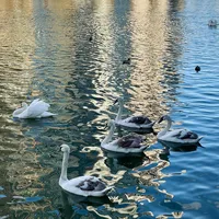 original sound - pforpineapple3