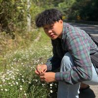 thanidalc_1