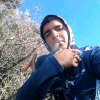 amin321123321