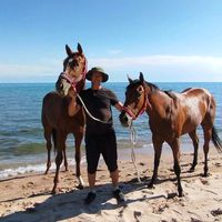 оригинальный звук